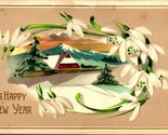 Happy New Year Star of Bethlehem Flower Embossed 1919 DB Postcard - $3.91