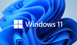 Windows 11 Professional 1PC - £14.01 GBP