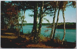 Vintage Postcard Montague River Prince Edward Island Canada Scenic View - £11.36 GBP