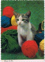Animal Postcard Kitten &amp; Yarn Wool Tricotons Ensemble - £1.74 GBP