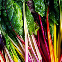 Rainbow Swiss Chard Seeds 50 Ct Vegetable Garden Non-Gmo From US - £6.86 GBP