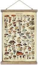 (Botany Of Mushroom 1Panels, 16&quot; X 24&quot;) Shoxrem Vintage Poster, Rustic Art - £30.62 GBP