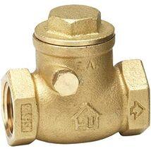 Homewerks 240-2-1-1 No-Lead Swing Check Valve, Female Thread x Female Th... - $41.92 CAD