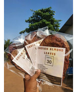 30Pcs Indian Almond Leaves 5 - 7&#39;&#39; Catappa Ketapang for Fish, Shrimp, Aq... - $7.69