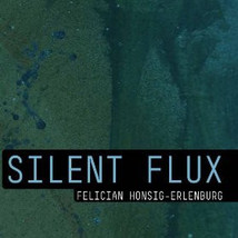 Felician Honsig-Erlenburg - Silent Flux (CD) (VG) - £4.96 GBP