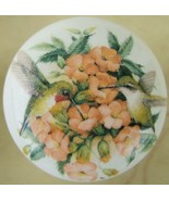 Cabinet Knobs Knob w/ Humming bird #4 - $7.13 CAD