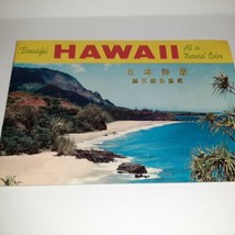 Beautiful HAWAII All In Natural Color Travel Booklet - English &amp; Japanese 1960s - £7.79 GBP