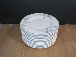 10 Pfaltzgraff 8 1/8&quot; Plates  Blueberry -MADE IN USA - £38.92 GBP