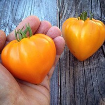 Rare Tomato Seeds &#39;Heart of Ashgabat&#39; - 5 Pack, Heirloom Garden Plant, Unique Ga - £5.50 GBP