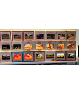 58 VTG Kodak Kodachrome 35mm Color Slide Lot 1950s Animals Pets Zoo Farm... - €25,20 EUR