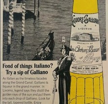 1965 Galliano Liqueur Livorno Italian Advertisement Liquor Distillery DWLL7 - $19.99