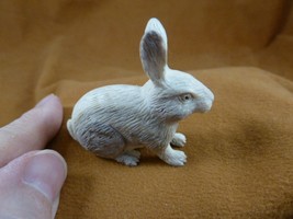 bun-w11 white Bunny Rabbit hare of shed ANTLER figurine Bali detailed ca... - $66.61