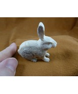 bun-w11 white Bunny Rabbit hare of shed ANTLER figurine Bali detailed ca... - £52.10 GBP