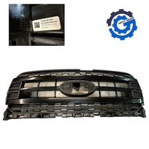 NEW OEM FORD GRILLE BLACK APPEARANCE PACKAGE 2021-2024 FORD F150 ML3Z-82... - $841.46