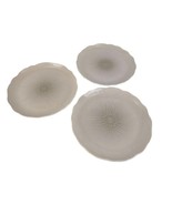 Set of 3 Vtg 80s Mikasa Japan Dinner Plates IRIS Spring Flower Shape Lar... - $735.56 MXN