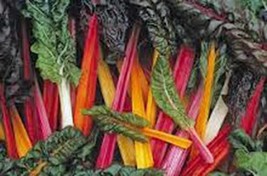 Swiss Chard Seed, Swiss Chard, Rainbow, Heirloom, Organic, 100 Seeds, Non Gmo - £4.72 GBP