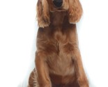 Red Setter Spaniel Dog Shaped Photo Decorative Accent Throw Pillow Gift - £11.99 GBP