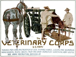 Veterinary Corps Decorative Poster. Fine Graphic Art Wall Interior Design. 2603 - $17.10+