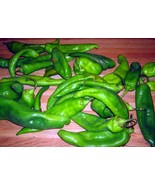 SEED- Anaheim Hot Pepper Seed- a Mild and Versatile California Chili - €3,22 EUR+
