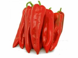 Corno di Toro Rosso Pepper - Paprika - 5+ seeds - Ca 056 - $2.99