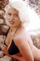 Jayne Mansfield 18x24 Posterhuge cleavage in black bikini - £19.13 GBP