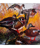 1917 Wood Duck &amp; Teal Ducks Plate Print Game Bird Art Lynn Bogue Hunt DWUU5 - $40.73 CAD