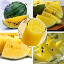 SEED Bright Yellow Watermelon Seeds - £4.71 GBP