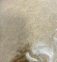 Barg Sadab  Garden rue, also known as common rue, herb-of-grace, or Ruta... - $13.44