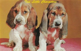Vintage Postcard Basset Hound Puppies Two Little Characters Unused Dog Card - £5.51 GBP