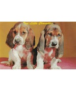Vintage Postcard Basset Hound Puppies Two Little Characters Unused Dog Card - £5.46 GBP