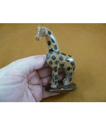(TNE-GIR-424-A) baby African GIRAFFE TAGUA NUT Figurine VEGETABLE Art - €47,41 EUR
