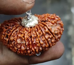 21 Mukhi Rudraksha Original Certified 21 Mukhi Round Nepali Rudraksha 32mm... - £199.20 GBP