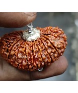 21 Mukhi Rudraksha Original Certified 21 Mukhi Round Nepali Rudraksha 32mm... - $266.71