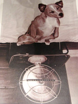 Vintage Ravensburger Puzzle No. 15 812 6 15812 158126 A Dog's Life Che Hot 10... - $39.73