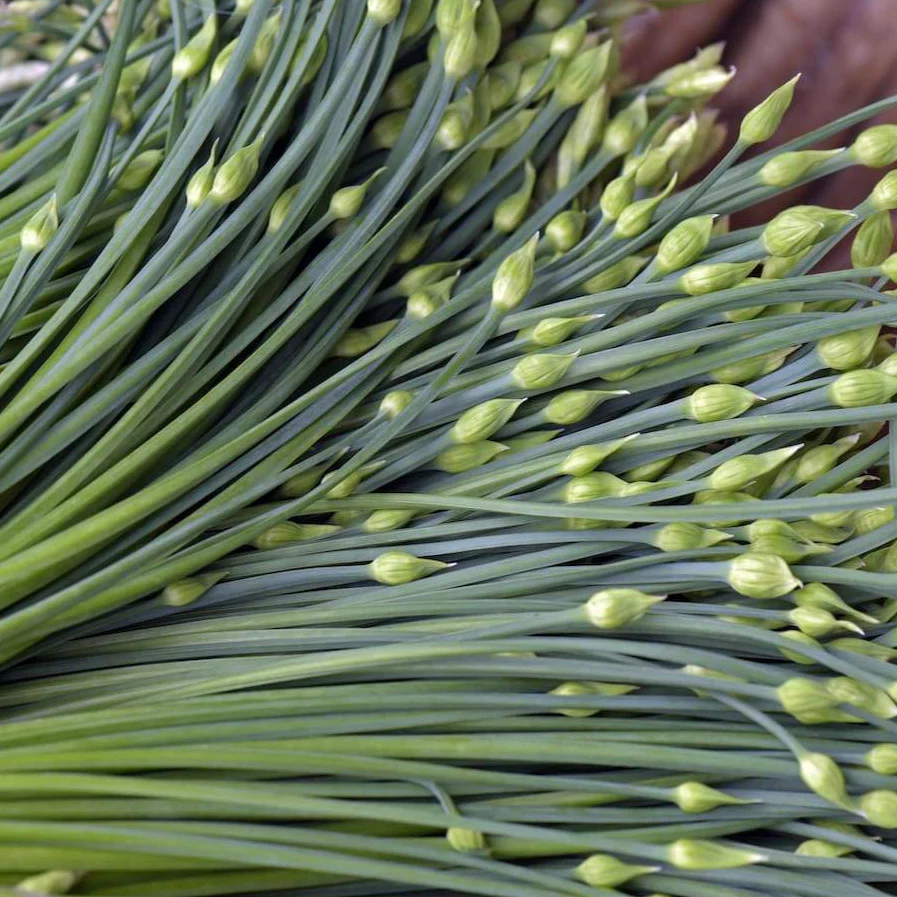 400 Non-GMO Garlic Chives Seeds for Culinary Use - $6.38