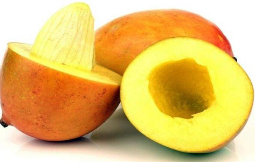 Biji Mangga Kering (Dried Mango Seeds), 80 Gram - $14.60