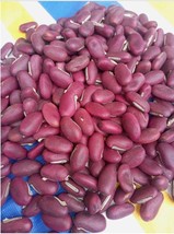 Jam African sword beans (Canavalia gladiata) seeds, 10 seeds for 8 USD, ... - $30.00