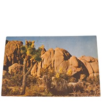 Postcard Joshua Tree And Desert Rocks California Chrome Posted - $14.15