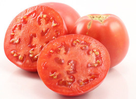 50 Seeds Early Wonder Tomato Juicy Vegetable New Fresh Seeds - $7.90