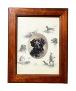 Black Lab Labrador Hunting Dog Limited Edition Print 417/850 Signed 15 x... - $46.75