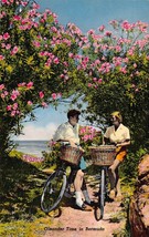 Oleander Time Bermuda~ Men &amp; Women Riding Bicycles Postcard-
show original ti... - £8.90 GBP