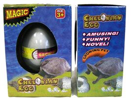 FAKE 1 TURTLE WATCH THEM HATCH AND GROW EGGS novelty growing egg turtles... - $9.50 CAD