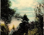 Lovers&#39; Lane Shaw Gardens St. Louis MO Postcard PC2 - £4.00 GBP