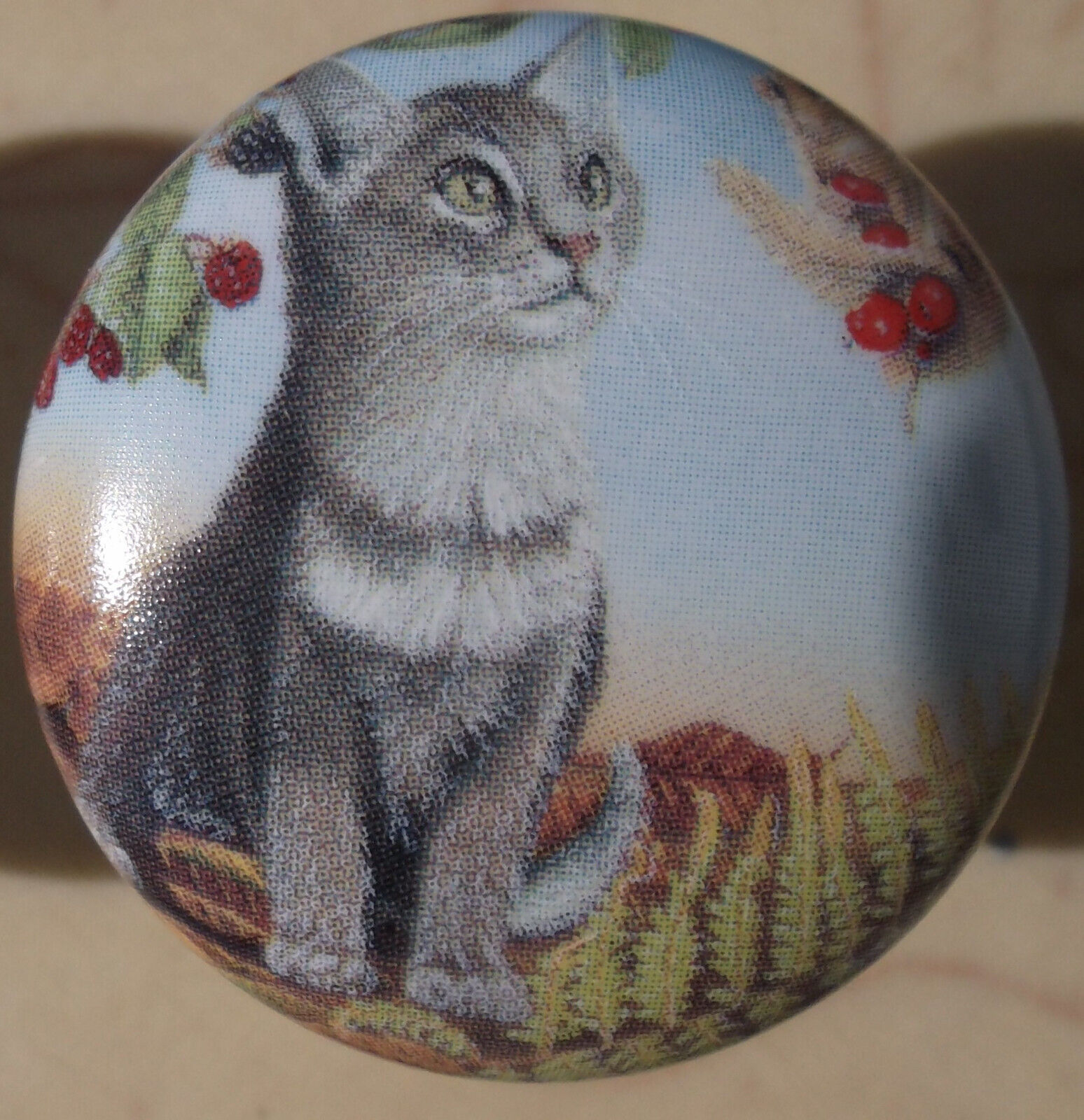 Cabinet Knobs w/ Kitten Gray Tabby &amp; Mouse domestic - $5.20