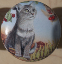 Cabinet Knobs w/ Kitten Gray Tabby &amp; Mouse domestic - £4.18 GBP