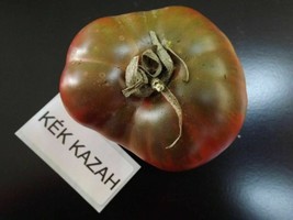 Blue Kazakhstan Tomato - 5+ seeds - P 272 - £1.55 GBP