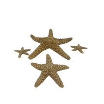 Lot of 4 Assorted Sugar Starfish Spiny Sea Stars Natural Dried Decor - $13.85