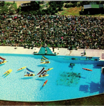 Vintage 1970s Aquaramic Pool Cypress Gardens FL Unposted Panoramic Postcard - $24.95