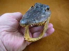 G-Def-249) 4-1/8&quot; Deformed Gator ALLIGATOR HEAD jaw teeth TAXIDERMY weir... - $38.32
