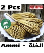 Moroccan Natural Ammi Visnaga Khella Herb Dried Organic Toothpick X2 عشب... - £7.75 GBP